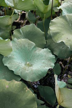 央行最新“连招”，稳汇率之外还有哪些潜在影响