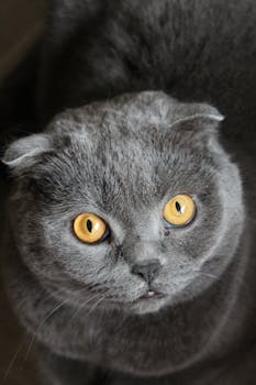 [理论观察]推动数字赋能高校人才培养质量提升