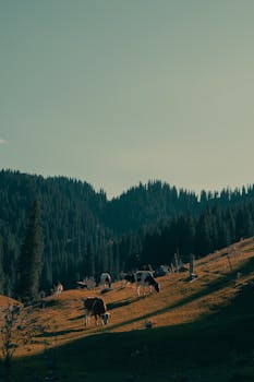 清晨，集体暴涨！特朗普：军事行动可能持续4周！同意与伊朗新领导层对话！伊朗警告！