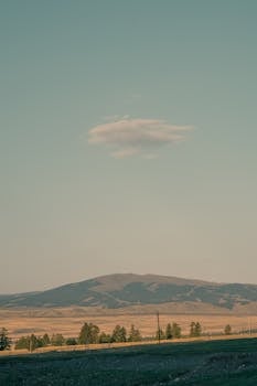 新车频繁被“开刀”维修，车主维权渠道全解析