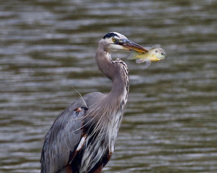  牢牢把握人工智能主动权，中国路径彰显独特优势。 IT技术 牢牢把握人工智能主动权，中国路径彰显独特优势。 IT技术