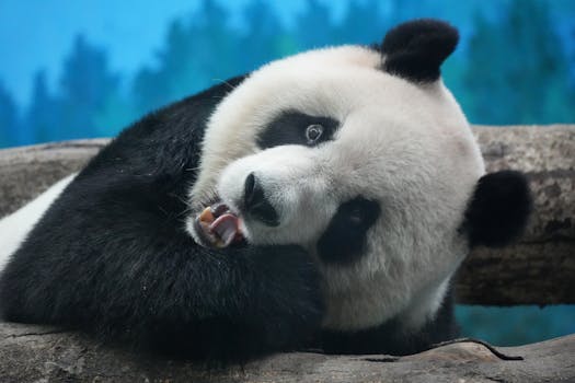 上海宣泰医药科技股份有限公司迎来股权激励新进展；限制性股票计划草案修订稿，已获市国资委原则同意。