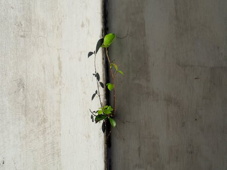 南沙金融政策红利持续释放，银行机构加速布局粤港澳合作前沿。