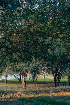  中国企业加速国际化步伐，汇丰高管展望全球投资新格局。 股票财经 中国企业加速国际化步伐，汇丰高管展望全球投资新格局。 股票财经 中国企业加速国际化步伐，汇丰高管展望全球投资新格局。 股票财经 中国企业加速国际化步伐，汇丰高管展望全球投资新格局。 股票财经 中国企业加速国际化步伐，汇丰高管展望全球投资新格局。 股票财经