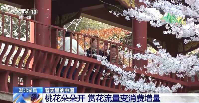  春风拂面花开遍野；赏花之旅带动乡村消费热潮。 文化旅游