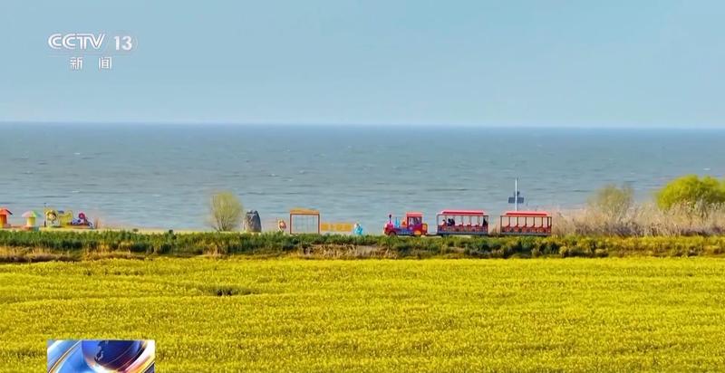  春风拂面花开遍野；赏花之旅带动乡村消费热潮。 文化旅游