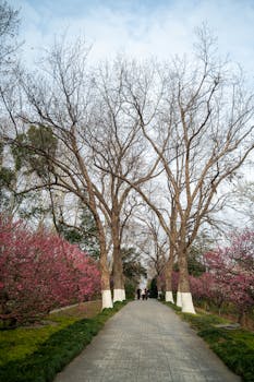 2025年行业复苏新周期：旅游龙头企业的价值重构与增长逻辑