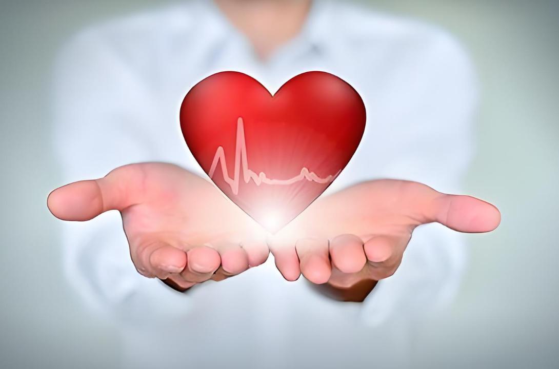  被忽视的天然代谢调节剂：绿豆降脂的底层逻辑发现 IT技术 被忽视的天然代谢调节剂：绿豆降脂的底层逻辑发现 IT技术 被忽视的天然代谢调节剂：绿豆降脂的底层逻辑发现 IT技术