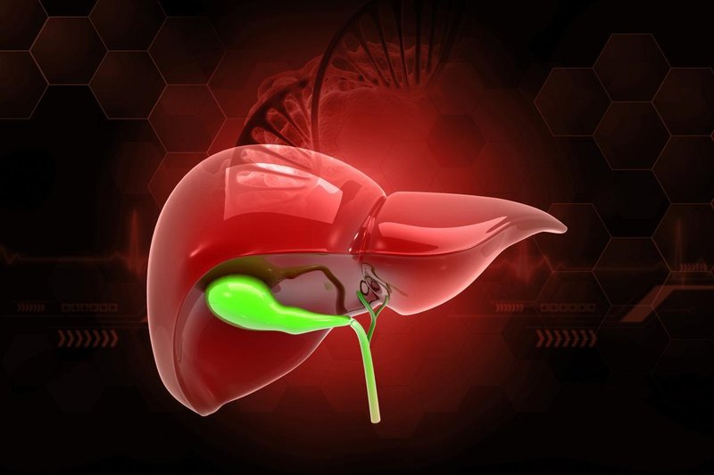  被忽视的天然代谢调节剂：绿豆降脂的底层逻辑发现 IT技术 被忽视的天然代谢调节剂：绿豆降脂的底层逻辑发现 IT技术 被忽视的天然代谢调节剂：绿豆降脂的底层逻辑发现 IT技术