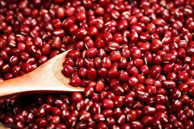  被忽视的天然代谢调节剂：绿豆降脂的底层逻辑发现 IT技术 被忽视的天然代谢调节剂：绿豆降脂的底层逻辑发现 IT技术 被忽视的天然代谢调节剂：绿豆降脂的底层逻辑发现 IT技术