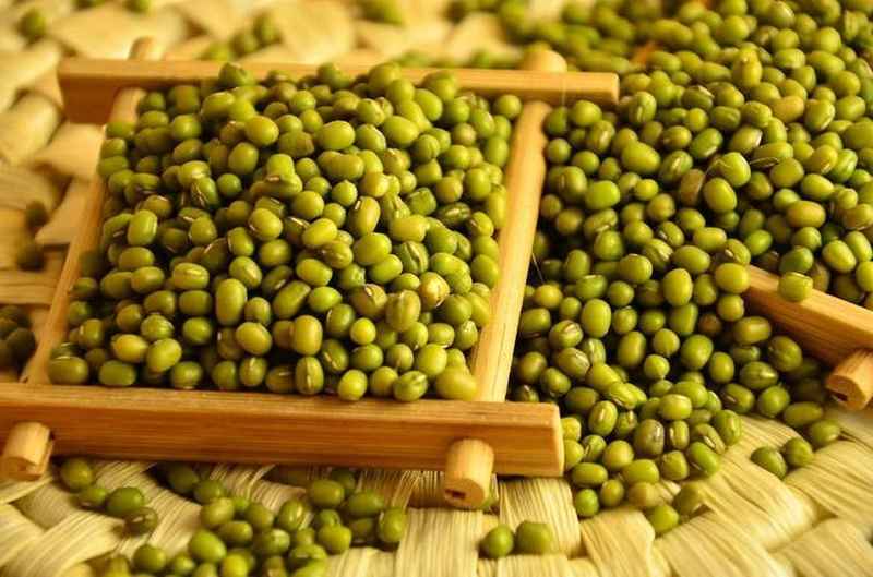  被忽视的天然代谢调节剂：绿豆降脂的底层逻辑发现 IT技术 被忽视的天然代谢调节剂：绿豆降脂的底层逻辑发现 IT技术 被忽视的天然代谢调节剂：绿豆降脂的底层逻辑发现 IT技术