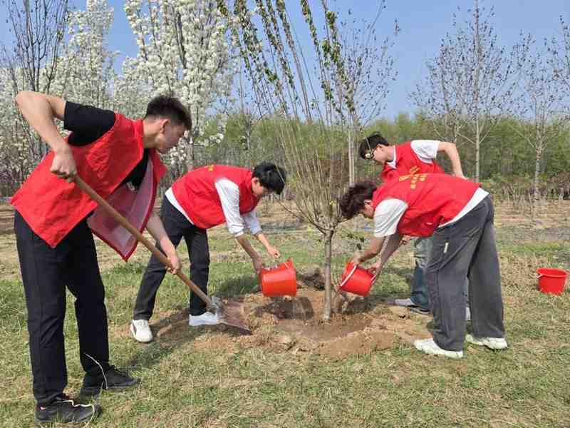  万棵树木的绿色承诺：杨庄河景区生态参与新范式 新闻 万棵树木的绿色承诺：杨庄河景区生态参与新范式 新闻 万棵树木的绿色承诺：杨庄河景区生态参与新范式 新闻