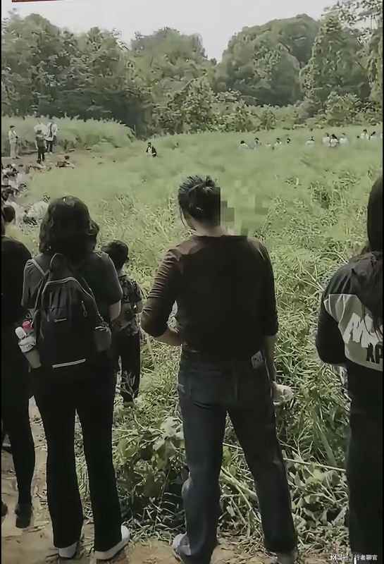  从油菜田踩踏事件审视儿童自然教育的系统性失败 教育招生