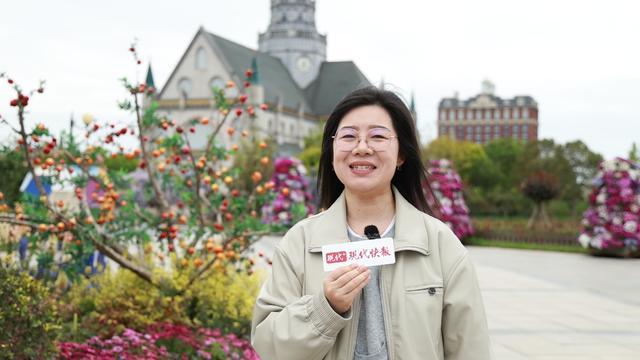  技术破局：3000亩郁金香背后的精细化运营体系 文化旅游