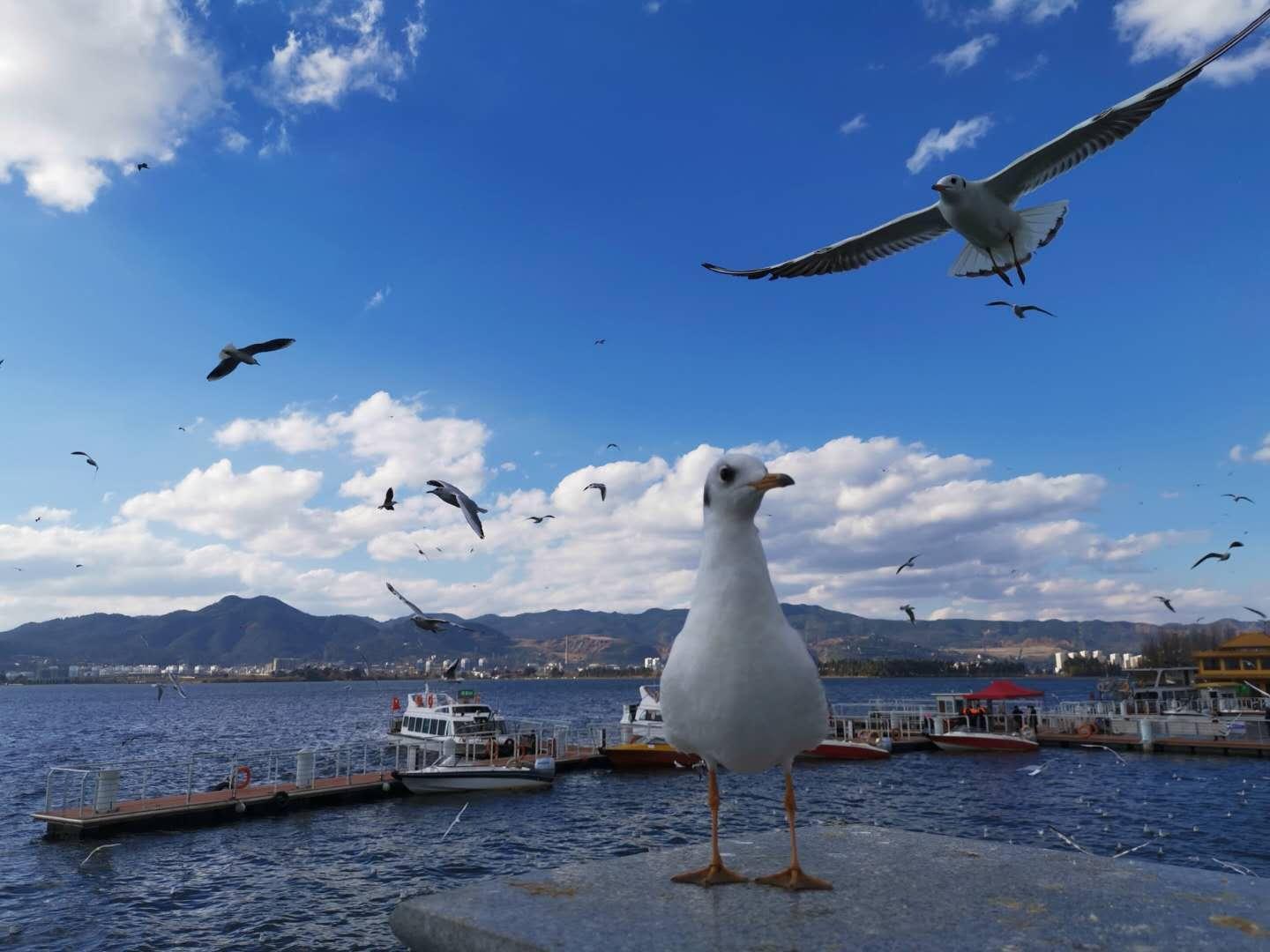  人口流向的深层密码：浙江何以成为全国人口引力场？ 新闻