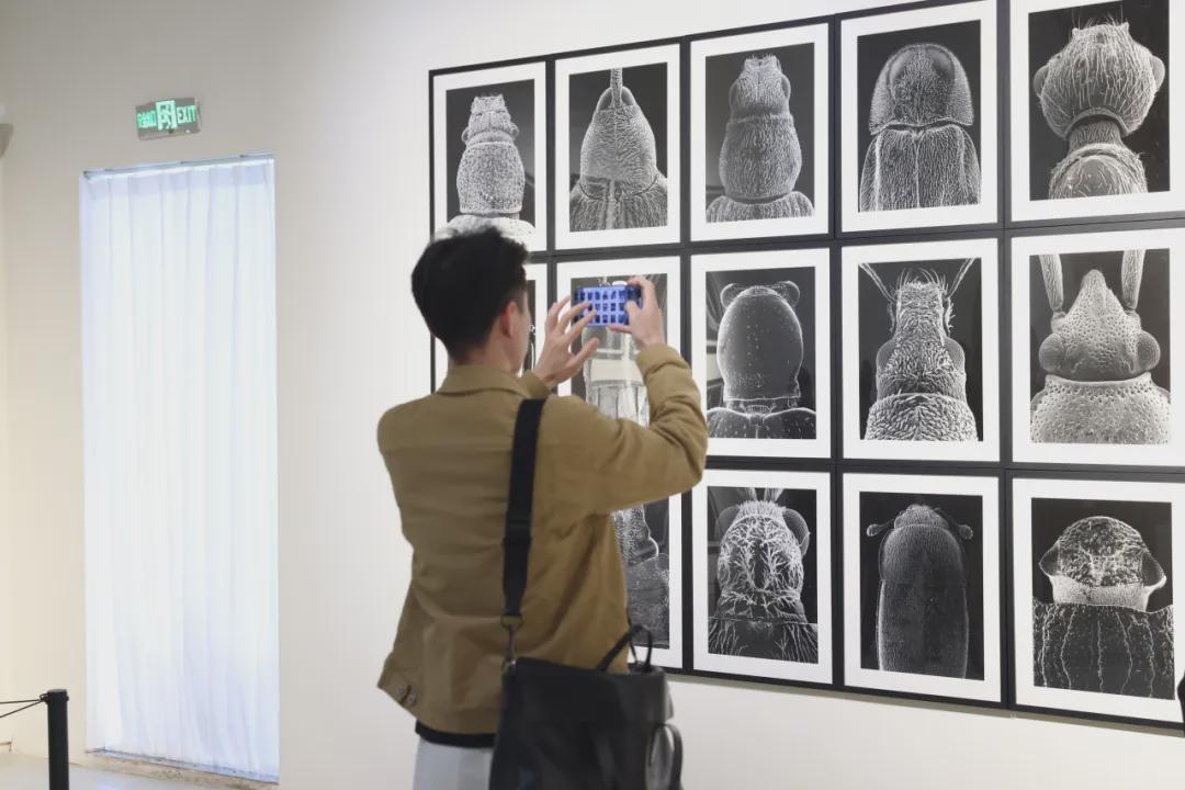  从包豪斯到当代：解码德国艺术的方法论 文化旅游