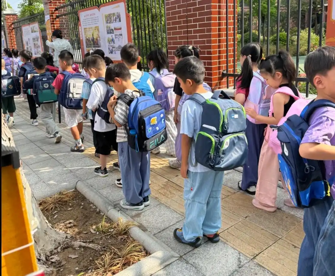  政策破局：2026年义务教育招生制度重构与底层逻辑深度解析 教育招生