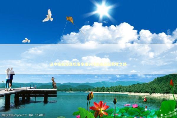 从中东航空危机看多难兴邦的航空业救赎之路