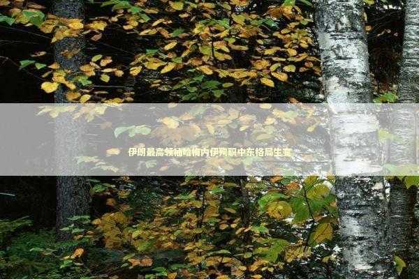 伊朗最高领袖哈梅内伊殉职中东格局生变