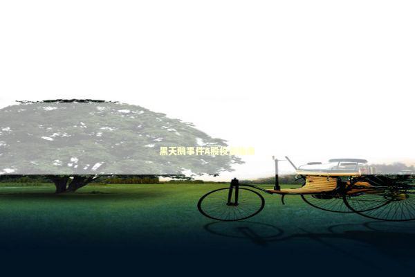 黑天鹅事件A股投资指南