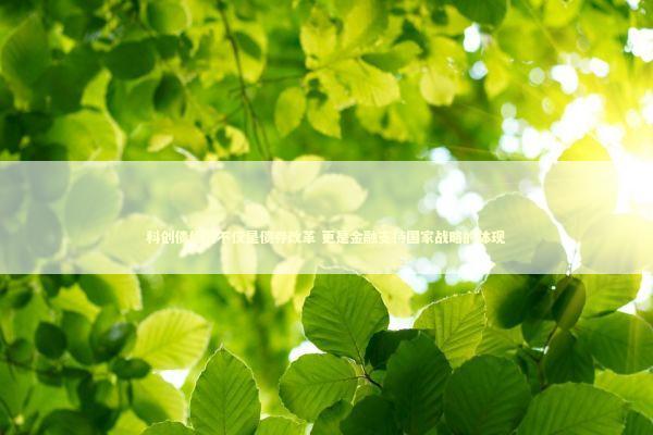 科创债优化不仅是债券改革 更是金融支持国家战略的体现