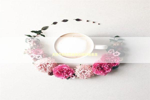 天然气概念股业绩大增价格暴涨 新闻