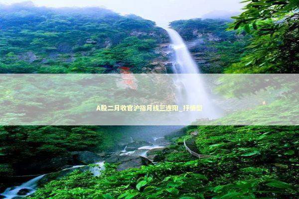 A股二月收官沪指月线三连阳_抒情型