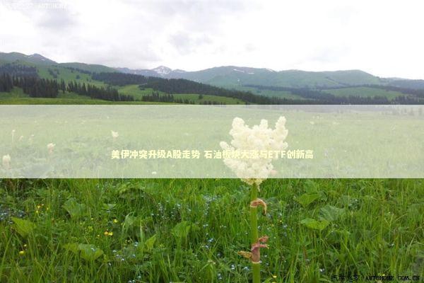 美伊冲突升级A股走势 石油板块大涨与ETF创新高