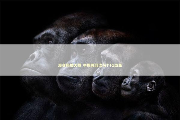 港交所放大招 中概股回流与T+1改革