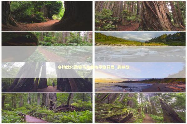 多地优化政策马年楼市平稳开局_趣味型