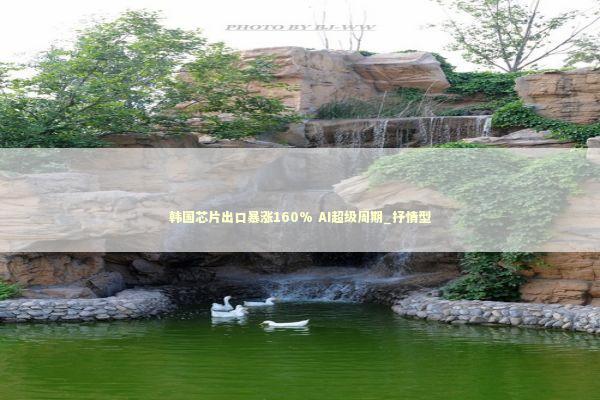 韩国芯片出口暴涨160% AI超级周期_抒情型