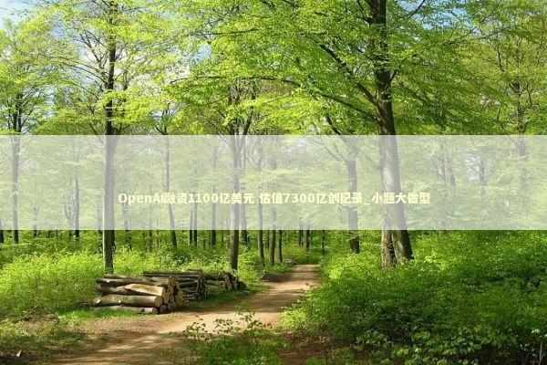 OpenAI融资1100亿美元 估值7300亿创纪录_小题大做型