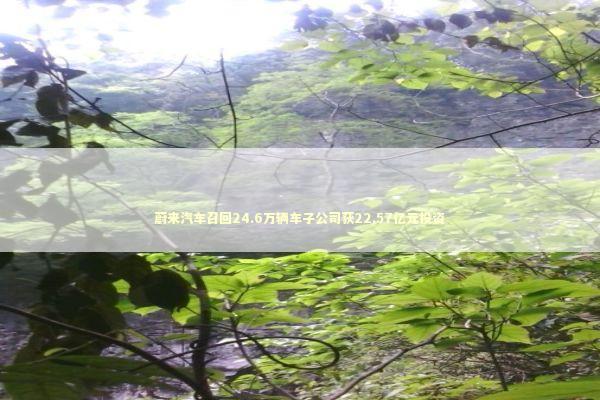 蔚来汽车召回24.6万辆车子公司获22.57亿元投资