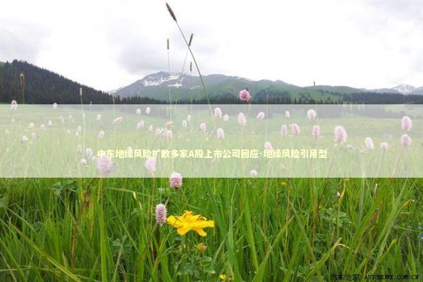 中东地缘风险扩散多家A股上市公司回应-地缘风险引用型