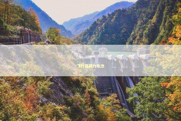 飞行器动力电池