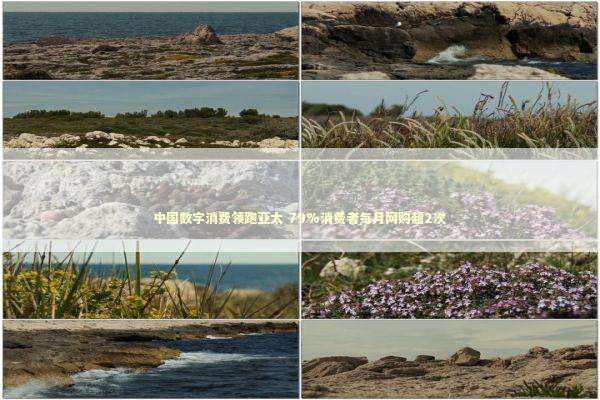 中国数字消费领跑亚太 79%消费者每月网购超2次