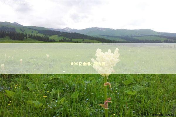 600亿重组小题大做