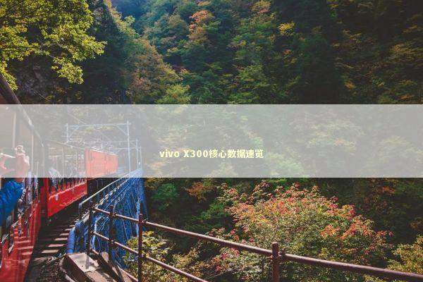 vivo X300核心数据速览