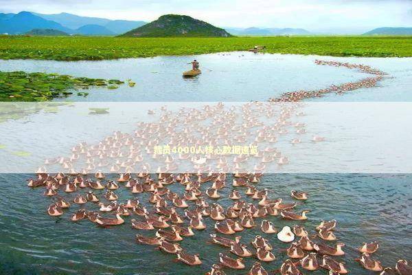 裁员4000人核心数据速览