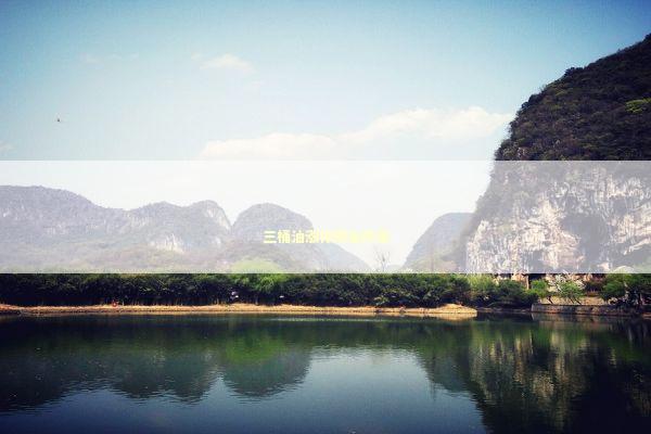 三桶油涨停网友炸锅