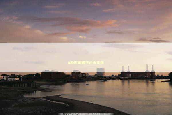 A股回调银行逆市走强