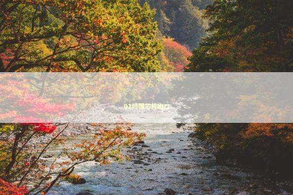 01韩国芯片出口