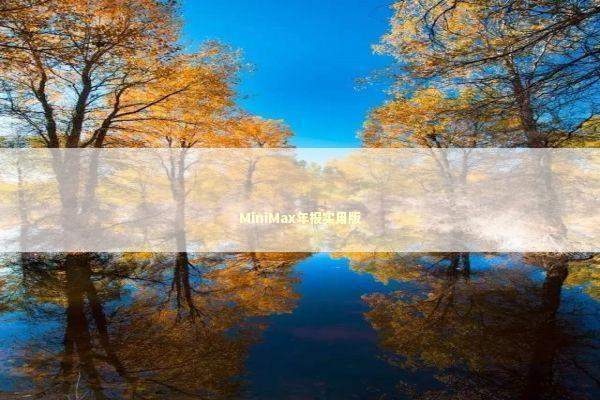 MiniMax年报实用版