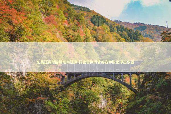 东吴证券拟控股东海证券 行业首例同省券商并购案浮出水面