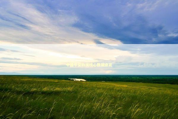 中国平安救援核心数据速览