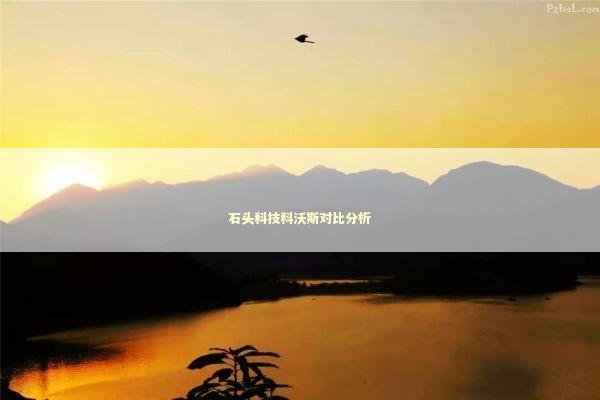 石头科技科沃斯对比分析