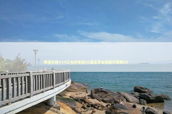 携程年赚334亿毛利率超80直追茅台但股价暴跌30