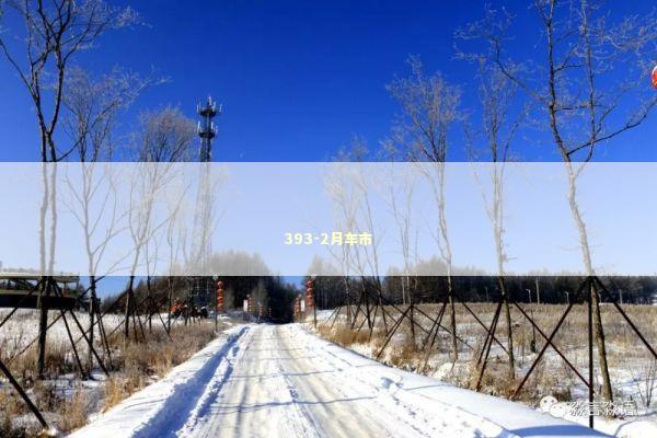393-2月车市