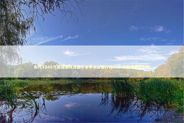 农行3200万担保案败诉启示未审决议银行担80%损失成典型判例