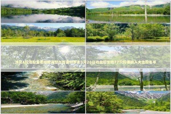 涉及A股港股重要指数调整在即富时罗素3月20日收盘后生效77只股票纳入大盘股名单